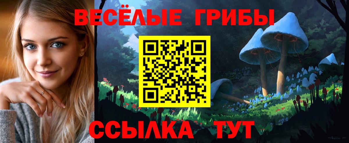 Галлюциногенные грибы Psilocybe  как найти закладки  Вход с VPN  Электрогорск  Галлюциногенные грибы ЛСД 