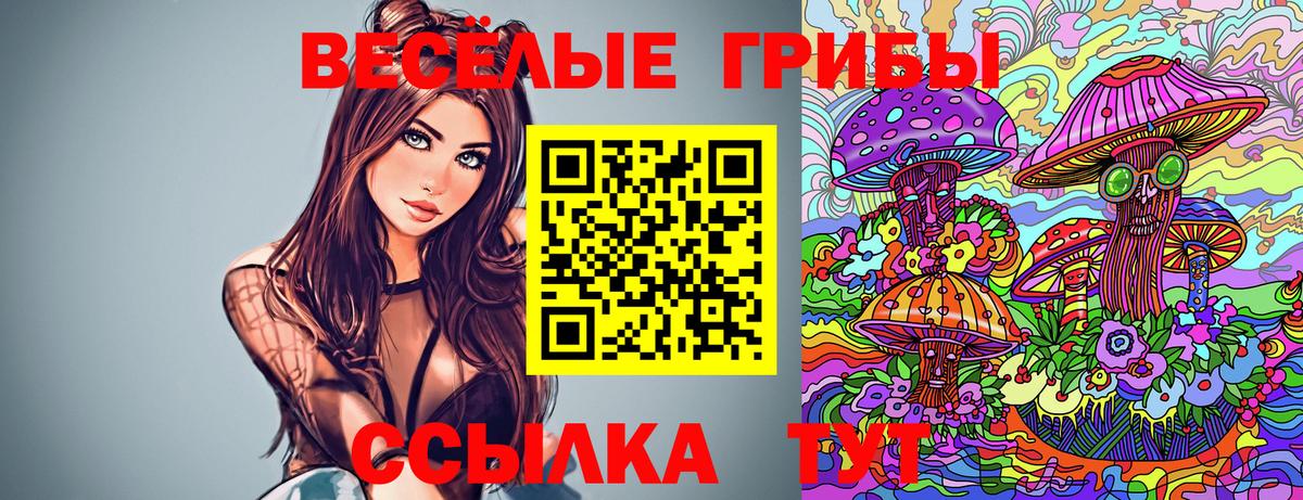 Псилоцибиновые грибы Psilocybe Электрогорск